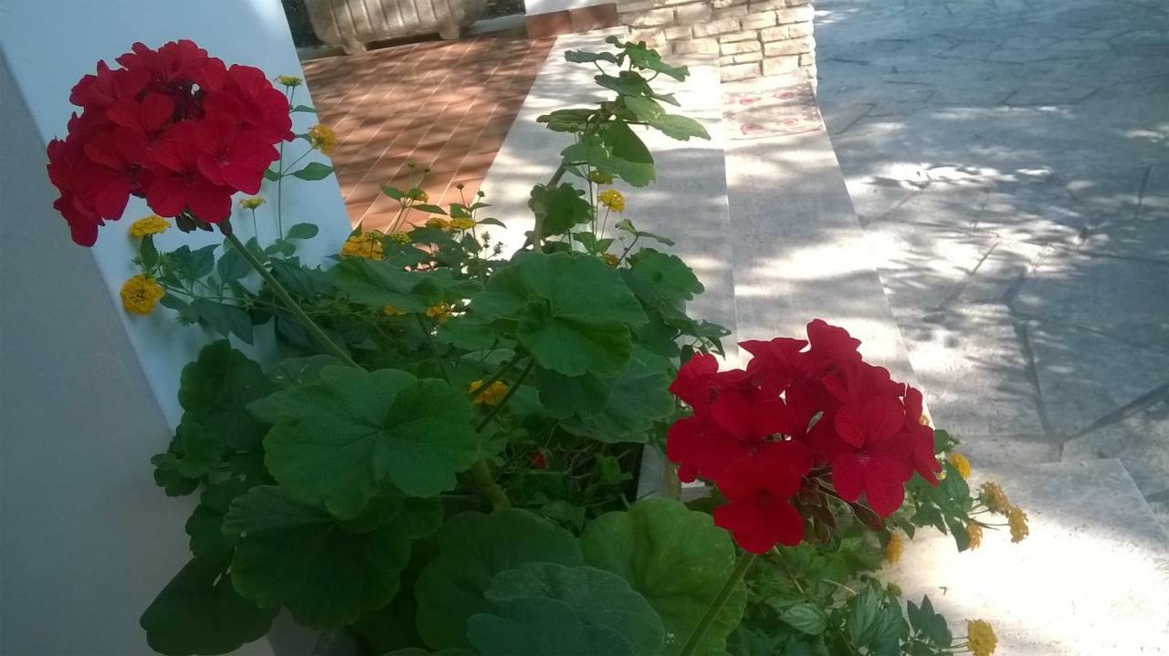 B&B Il Villino Torre Dell'Orso Zewnętrze zdjęcie